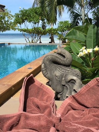 Outdoor pool, pool loungers. Benjamin Hut