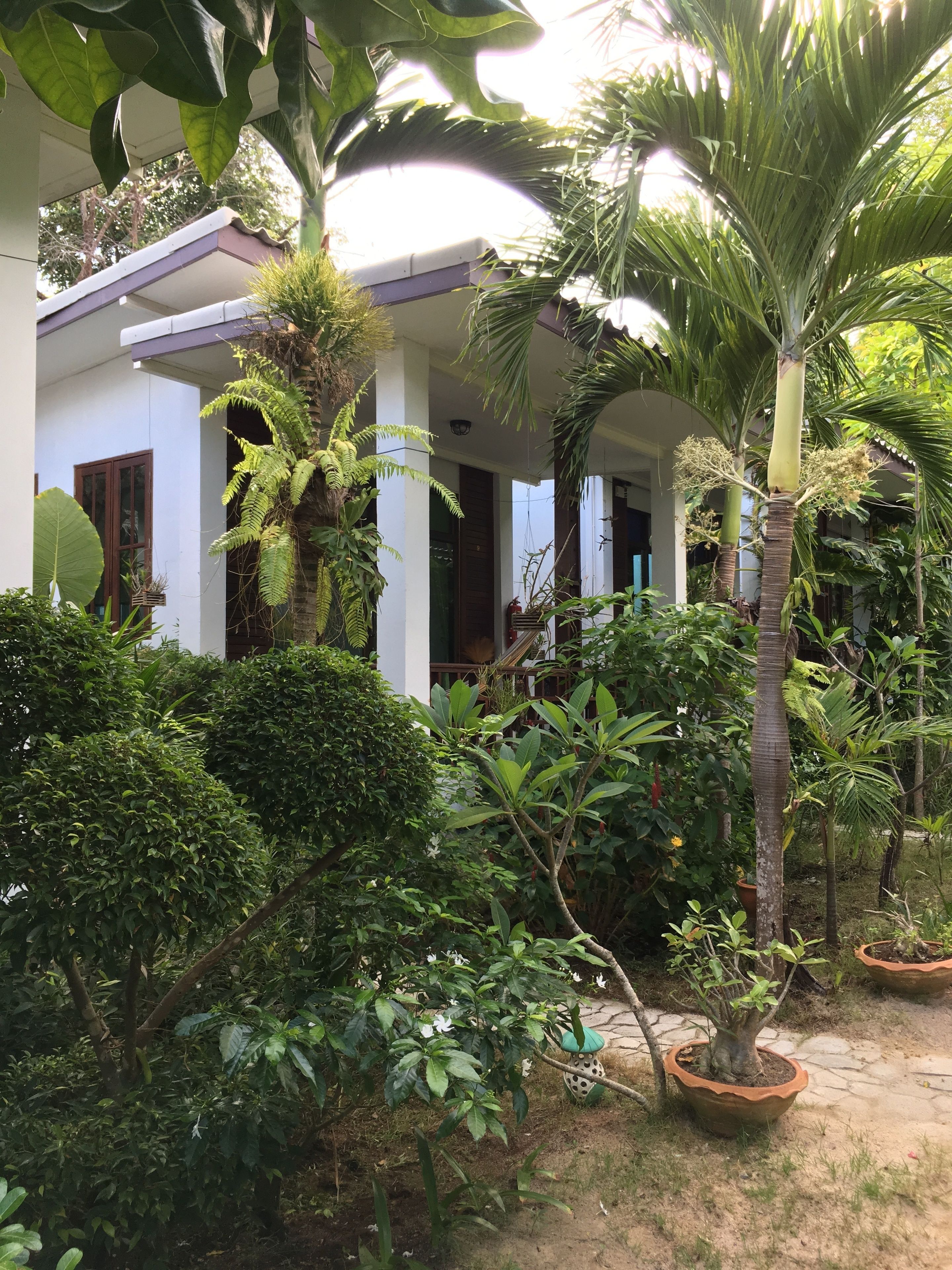 basic bungalow, 1 bedroom | desk, laptop workspace, free wifi