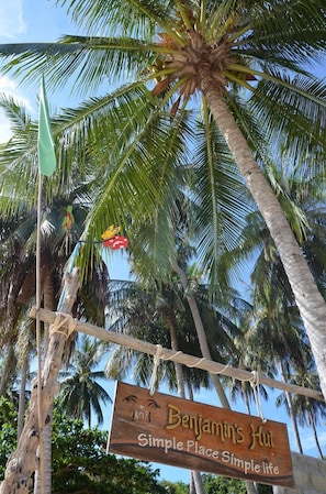 On the beach, sun loungers, beach umbrellas, beach towels