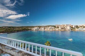 Vista desde la propiedad