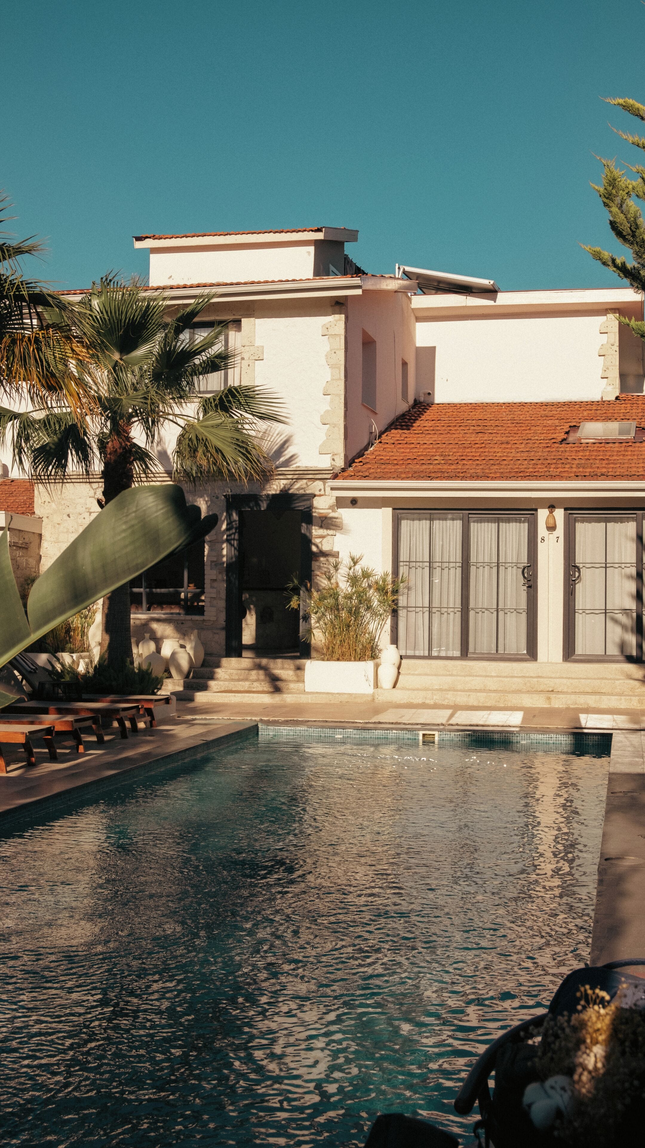 Ein Poolbereich mit freiem Blick auf den Pool, eine Palme und ein Gebäude mit einem Ziegeldach.