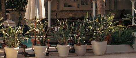 Un área junto a la piscina con sillones de descanso, plantas en macetas y una palmera.