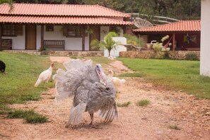 Área da propriedade