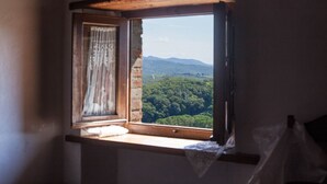 Una habitación con ventana que da a una zona boscosa y montañas.