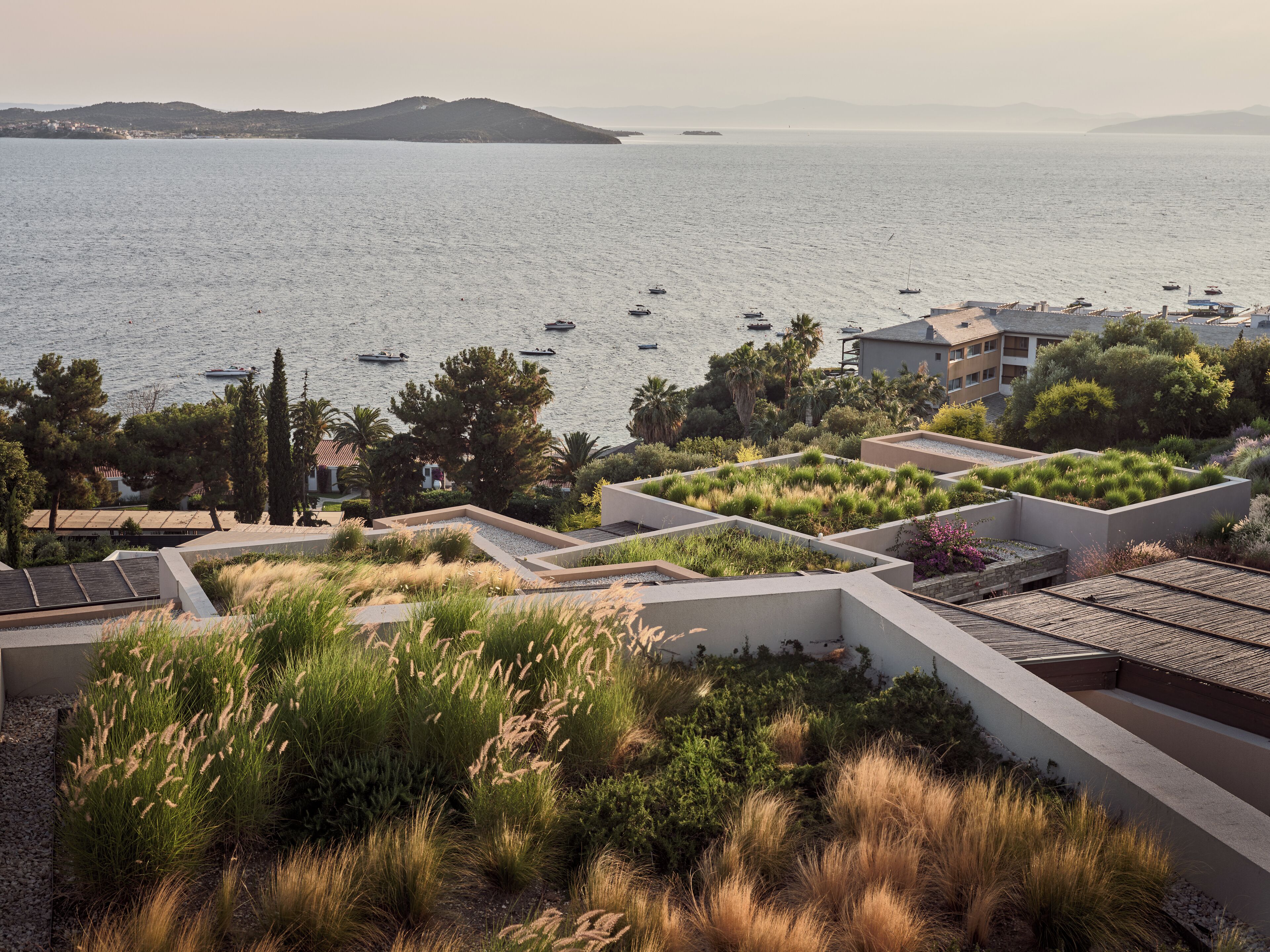 Una propiedad costera con jardín en la azotea, vista al mar y un edificio con techo plano.