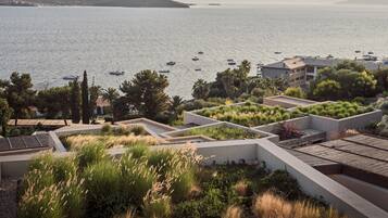 Una propiedad costera con jardín en la azotea, vista al mar y un edificio con techo plano.