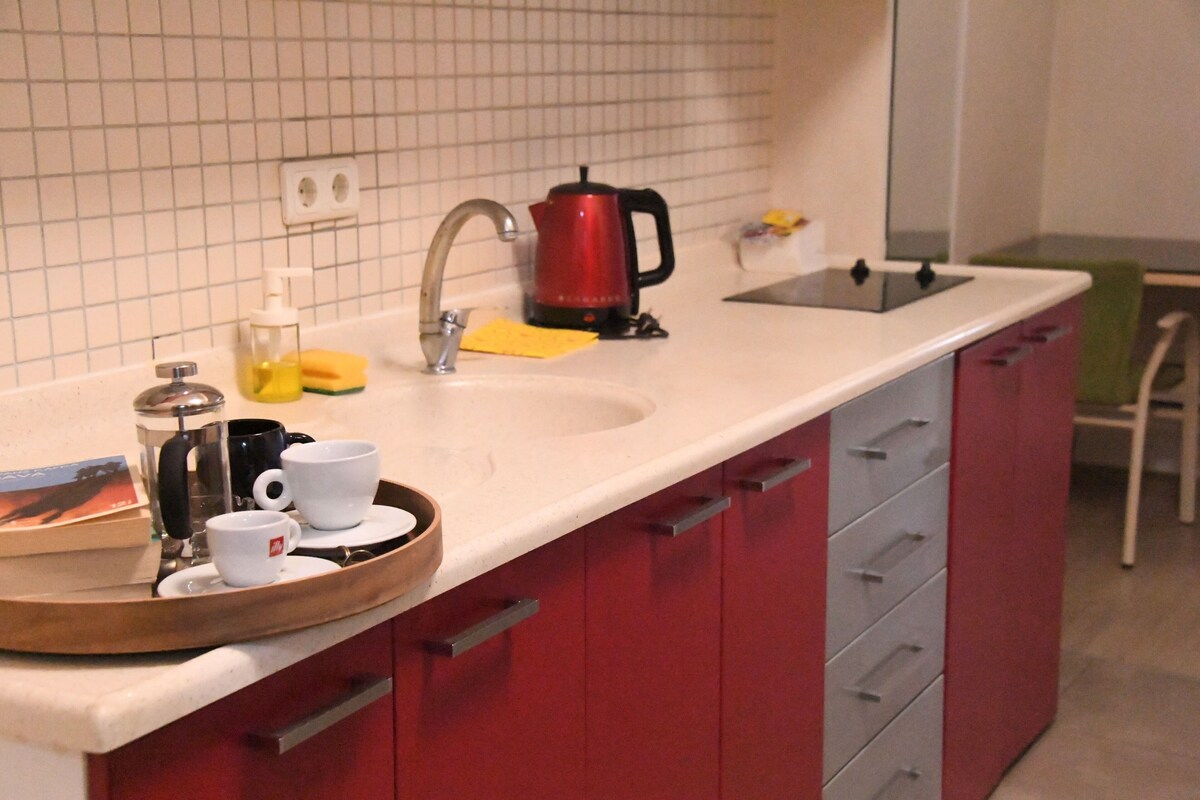 1+0 mutfakli | Iron/ironing board (on request), free WiFi, bed sheets