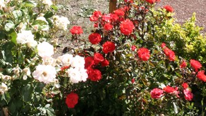 A wooden house with a stone entrance, surrounded by a garden with red and white flowers. - Equs Posada de Campo (San Carlos de Bariloche)