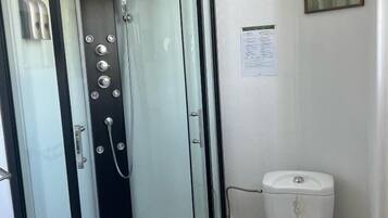 A modern bathroom with a glass-enclosed shower, a toilet, and a sink.