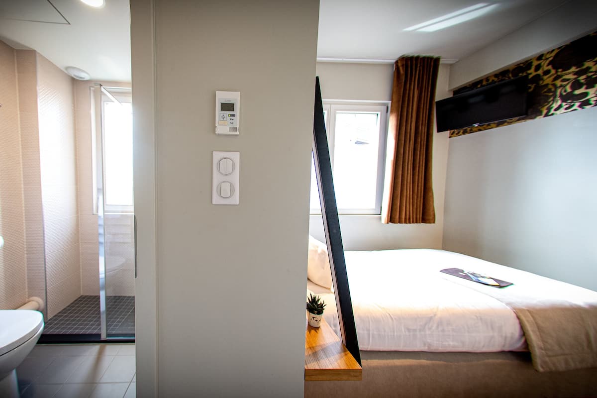Habitación de hotel con inodoro, ducha y cama con televisor y una planta pequeña.