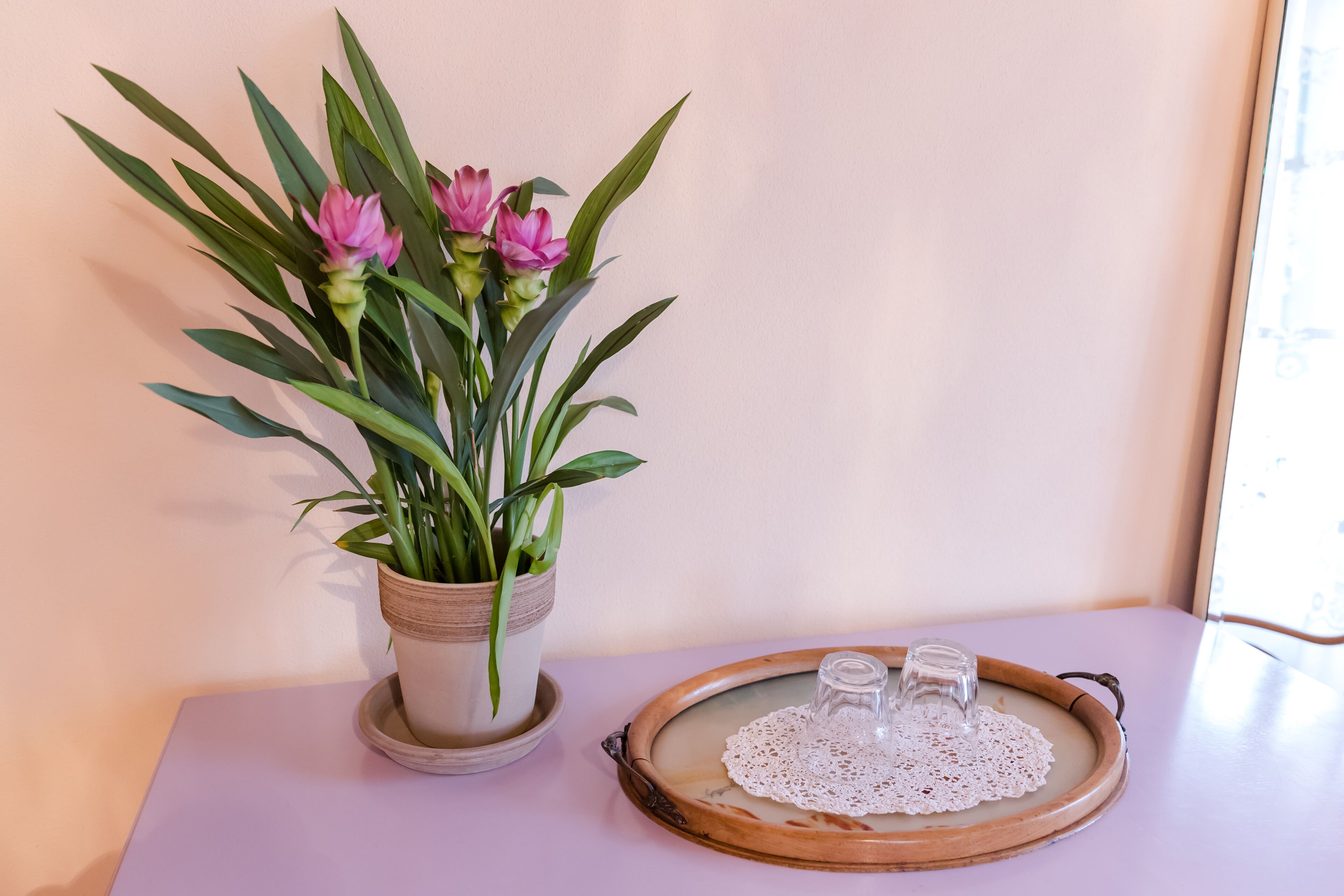 A potted plant with pink flowers on a table next to a tray with a glass and a small container.