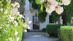 A pathway leading to a white building with a dark wooden door, surrounded by lush greenery and flowering plants. - Villa Nichesola (Colognola ai Colli)