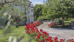 A residential area with a paved driveway, a parked car, and red flowering bushes. - Villa Nichesola (Colognola ai Colli)