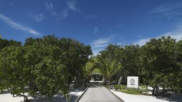 Un sendero de madera que atraviesa un jardín tropical, con un cartel que indica un centro de spa o bienestar.