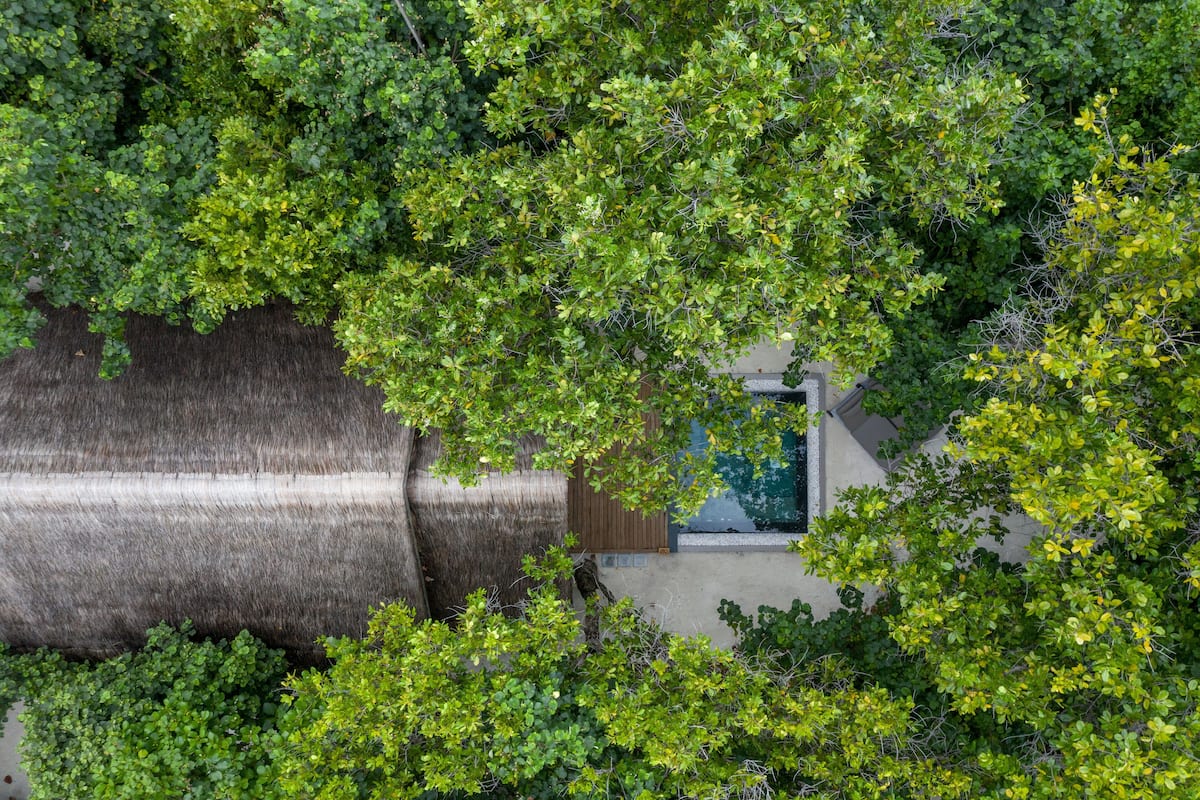 Beach Villa with Plunge Pool-45% off on Seaplane Transfers till 22nd Dec'24 | Blick auf den Garten