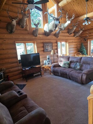 Smart TV, fireplace, DVD player, table football