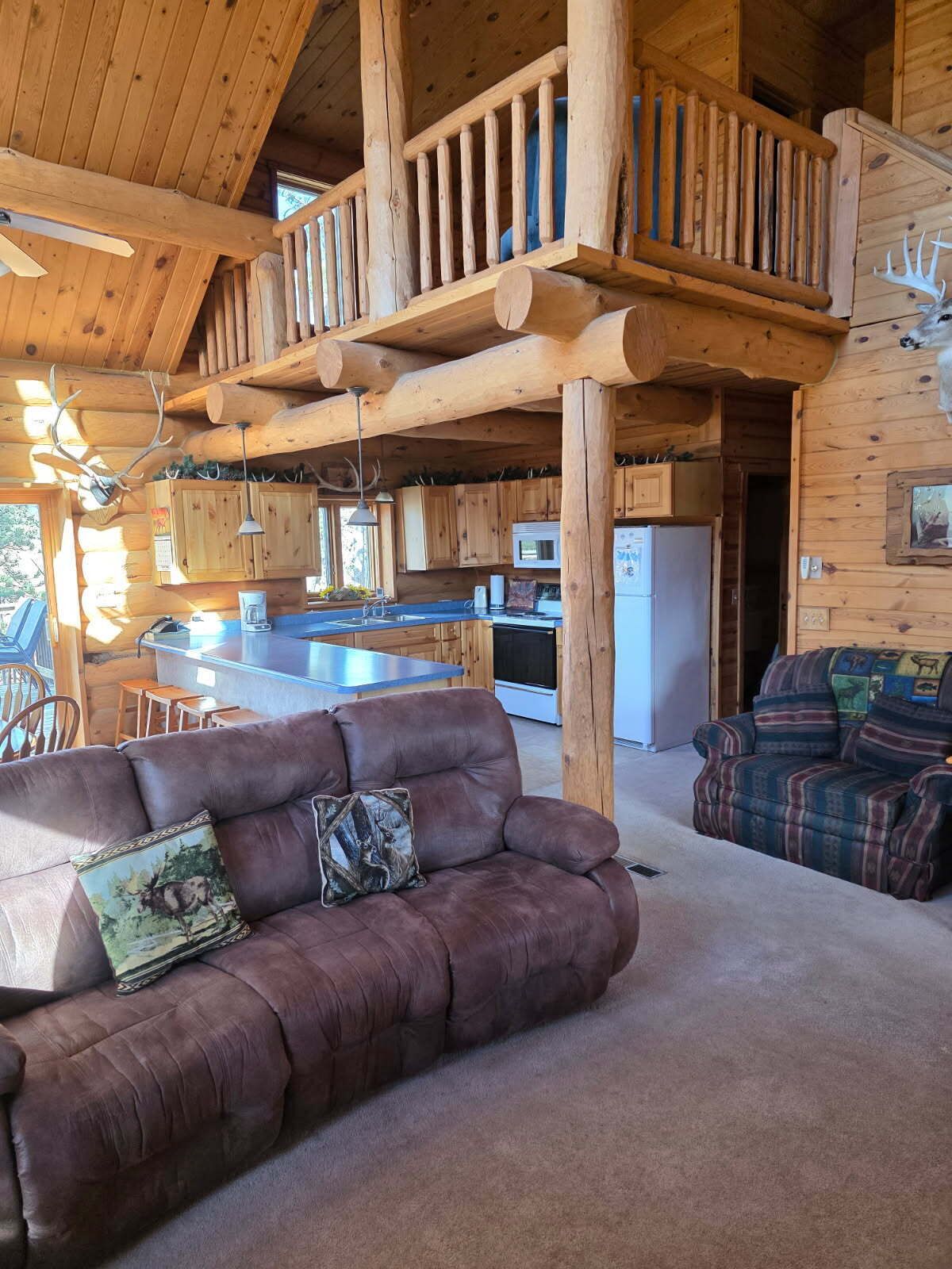 TV connectée, cheminée, lecteur de DVD, baby-foot