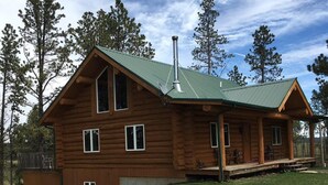 A log cabin with a green metal roof, large windows, and a chimney.