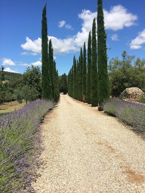 Property grounds - Enchanting Tuscan Villa / Private Estate / Heated Pool / Panoramic Views (Castelnuovo Berardenga)