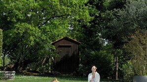 A swimming pool with a person in the water, surrounded by lush greenery and a wooden structure.