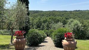 A garden pathway with two large terracotta pots containing red flowers, surrounded by neatly trimmed bushes and a tall evergreen tree.