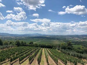 Unclassified image, 5 of 35, button - Enchanting Tuscan Villa / Private Estate / Heated Pool / Panoramic Views (Castelnuovo Berardenga)