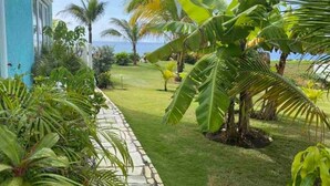 Un jardin tropical avec un sentier menant à un bâtiment, des palmiers et une vue sur l’océan.