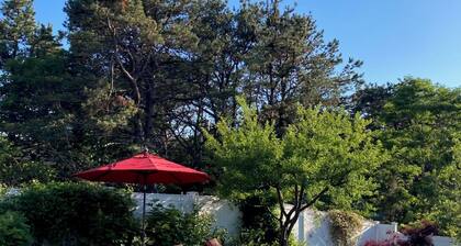 Modern home, great quiet location w/saltwater pool & hot tub!