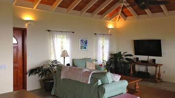 Smart TV, DVD player, books, stereo