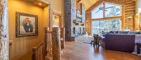 Smart TV, chimenea, reproductor de DVD, libros