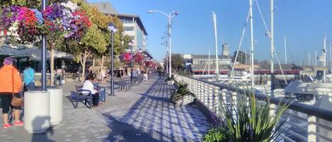 Terrain de lâhĂ©bergement