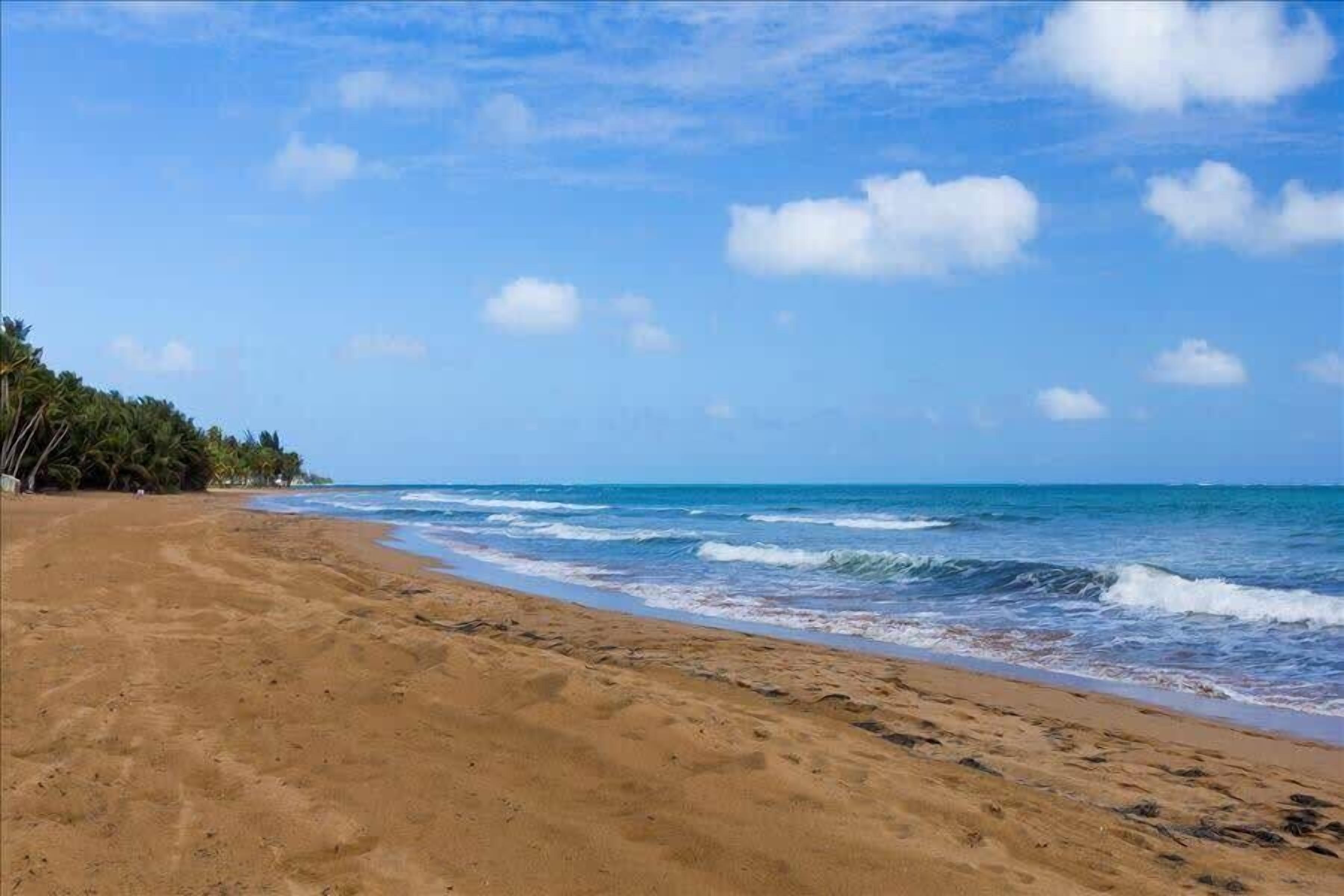 Ein weiter Sandstrand mit sanften Wellen, einem klaren Himmel und einer Reihe von Palmen in der Ferne.