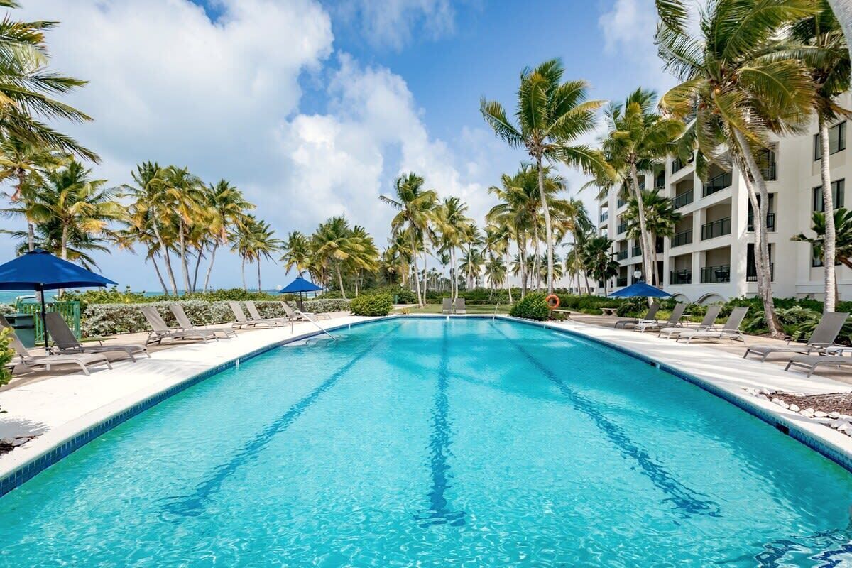 A swimming pool with lounge chairs and umbrellas, surrounded by palm trees and a multi-story building.