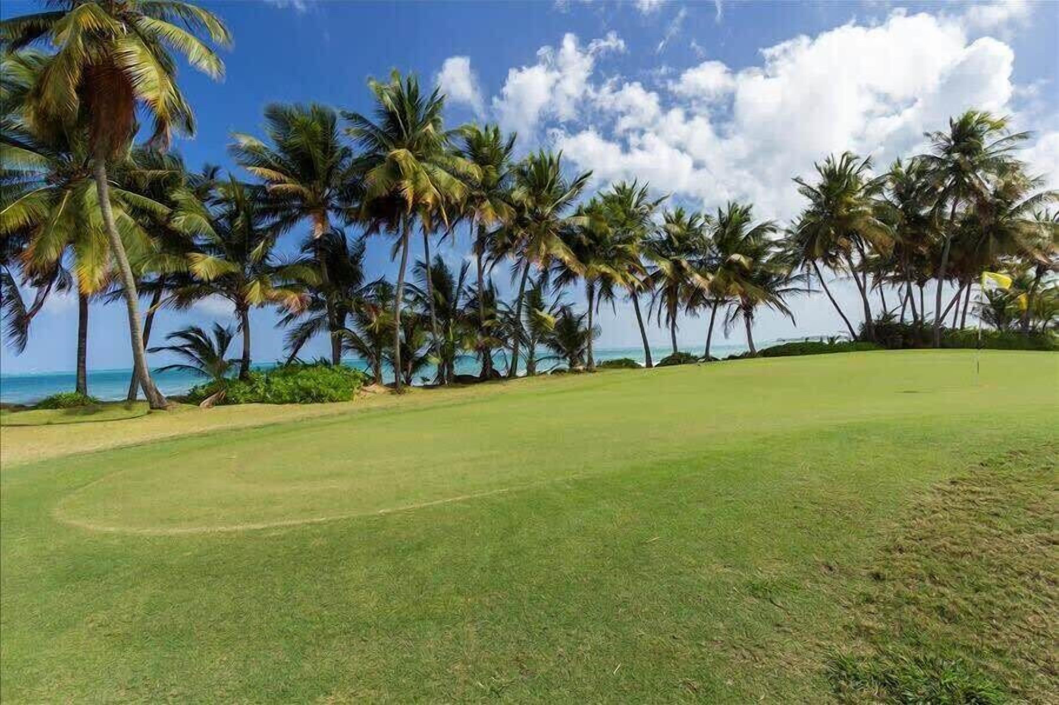 A golf course with a clear view of the ocean and palm trees.