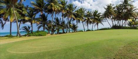 A golf course with a clear view of the ocean and palm trees.