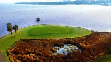 Golfers can enjoy a well-defined putting surface surrounded by a natural marshland and serene water views.