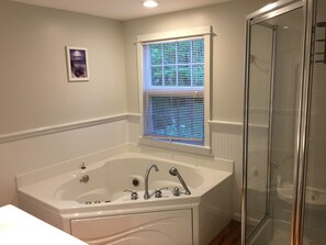 Shower, jetted tub