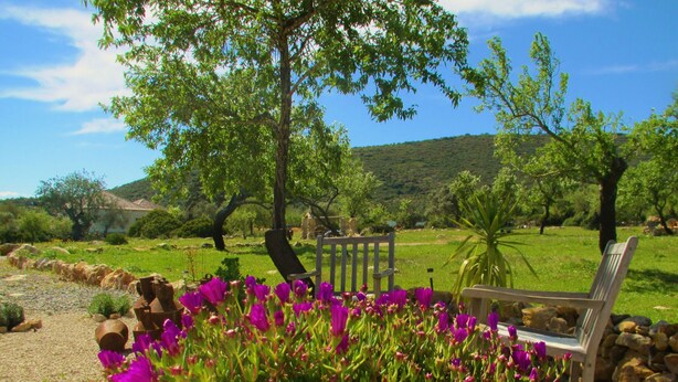Un banc dans un jardin, avec des fleurs violettes et des arbres en arrière-plan.