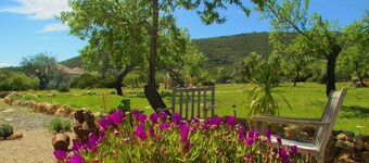Casa da Laranja une villa individuelle avec piscine privée 