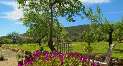 Modern villa amid almond orchard with private pool, 15 minutes from Fuseta Beach