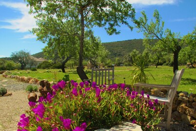 Modern villa amid almond orchard with private pool, 15 minutes from Fuseta Beach