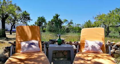 Casa da Laranja eine freistehende Villa mit privatem Pool