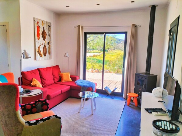 TV, fireplace, DVD player, books