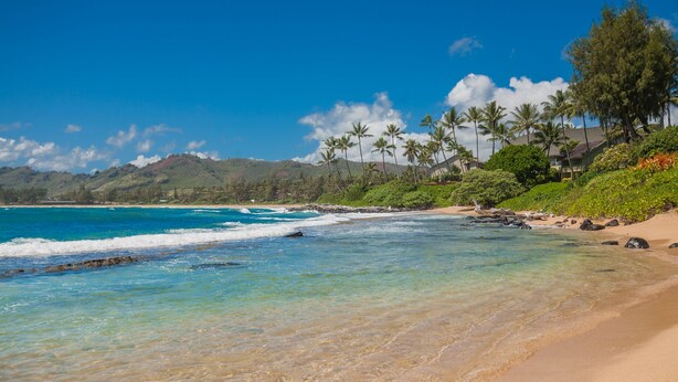 A beach with clear turquoise water, a sandy shore, and a backdrop of lush greenery and palm trees.