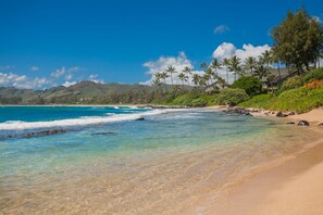 A beach with clear turquoise water, a sandy shore, and a backdrop of lush greenery and palm trees.