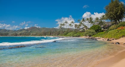 Sois notre invité! - OCEANFRONT -Lae Nani Condo # 317