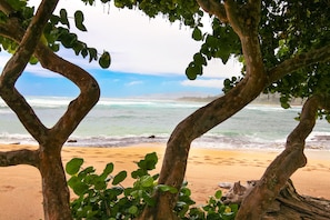 On the beach, sun loungers, beach towels