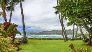 A lush garden with palm trees and tropical plants, leading to a view of the ocean and mountains.