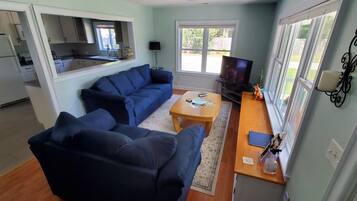 TV connectée, cheminée, lecteur de DVD, chaîne hi-fi