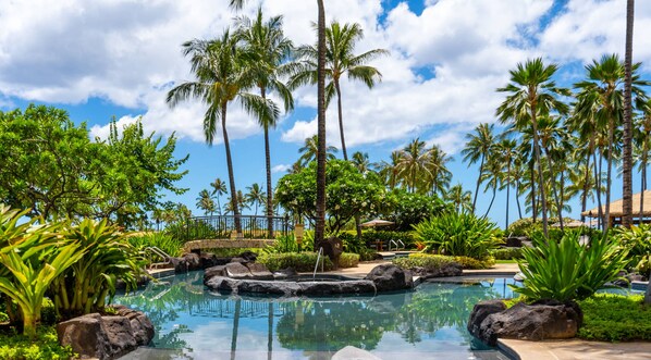 Outdoor pool, a lap pool